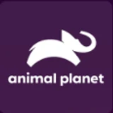 Logotipo do canal Animal Planet